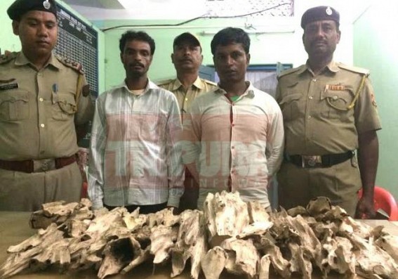 2 persons presented before court for wood smuggling 2 persons presented before court for wood smuggling